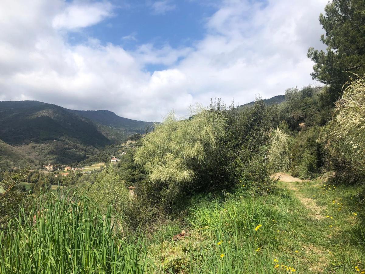 Villa D'Artisti 산레모 외부 사진