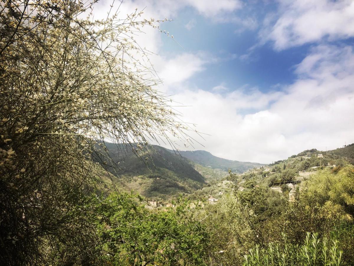 Villa D'Artisti 산레모 외부 사진
