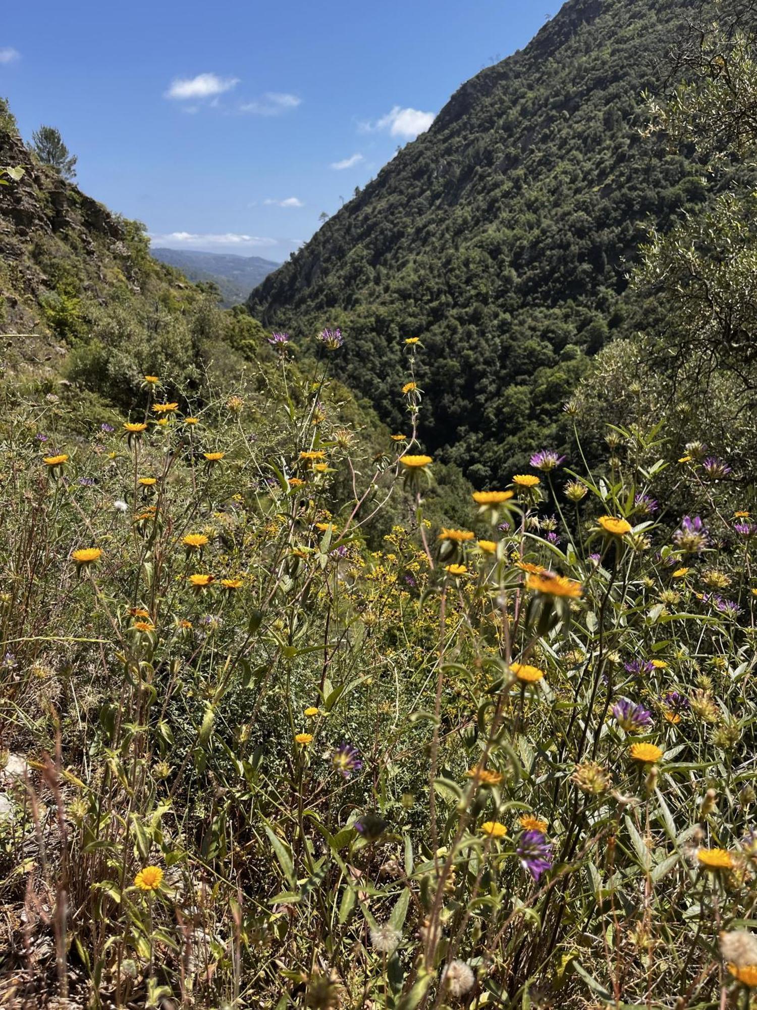 Villa D'Artisti 산레모 외부 사진