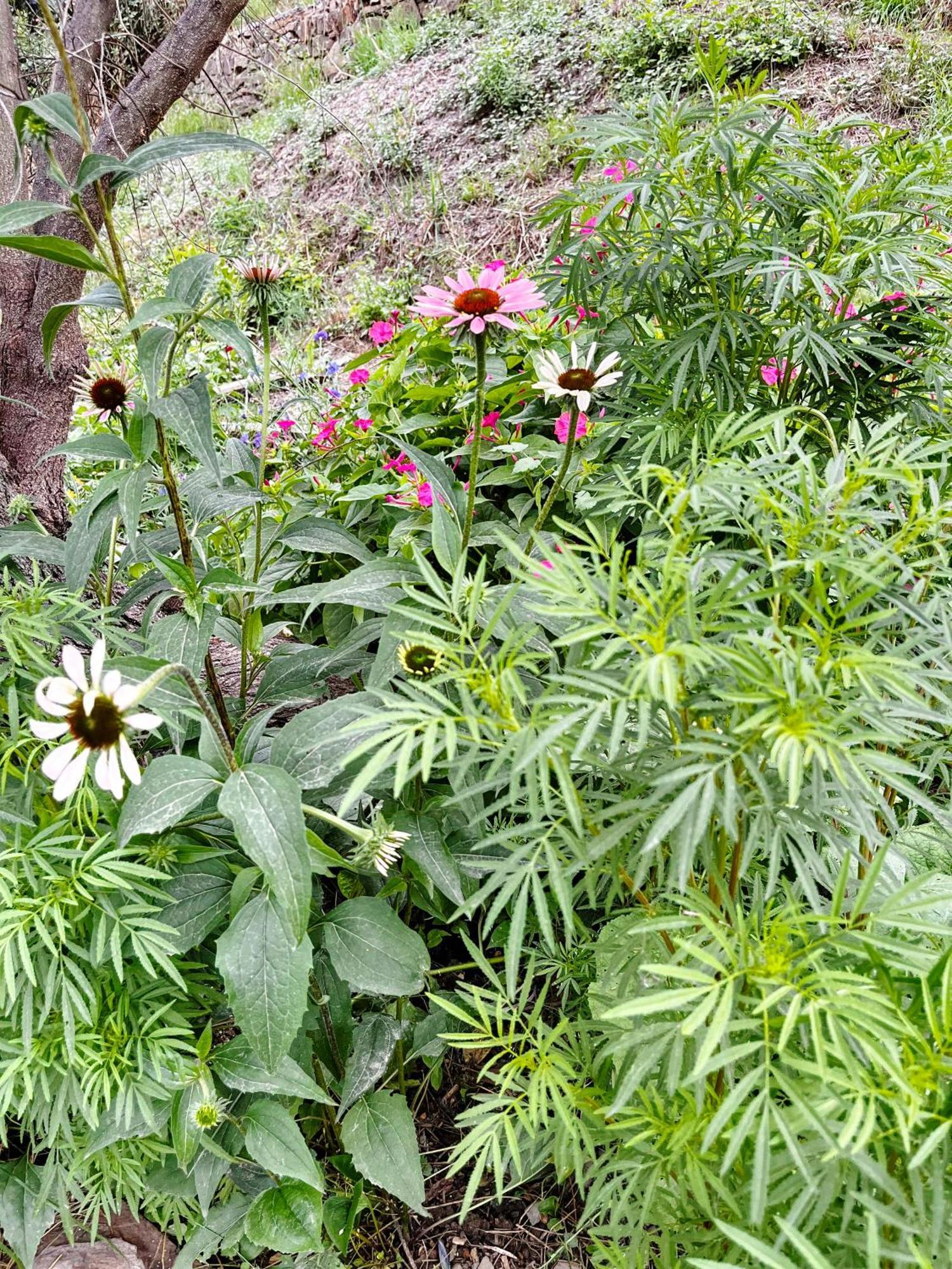 Villa D'Artisti 산레모 외부 사진